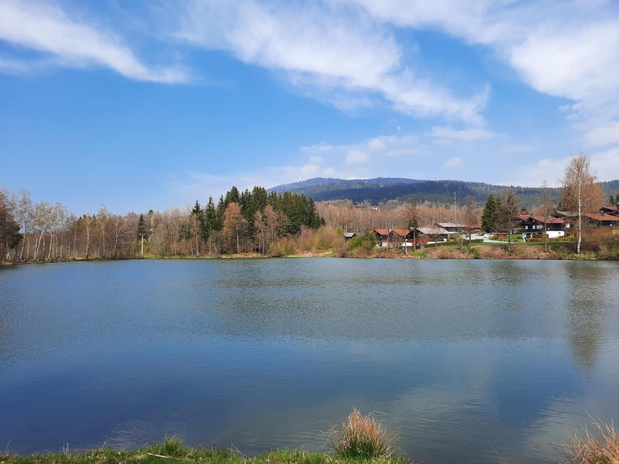 Fewo Bayerischer Wald Im Lamer Winkel Arrach Bagian luar foto