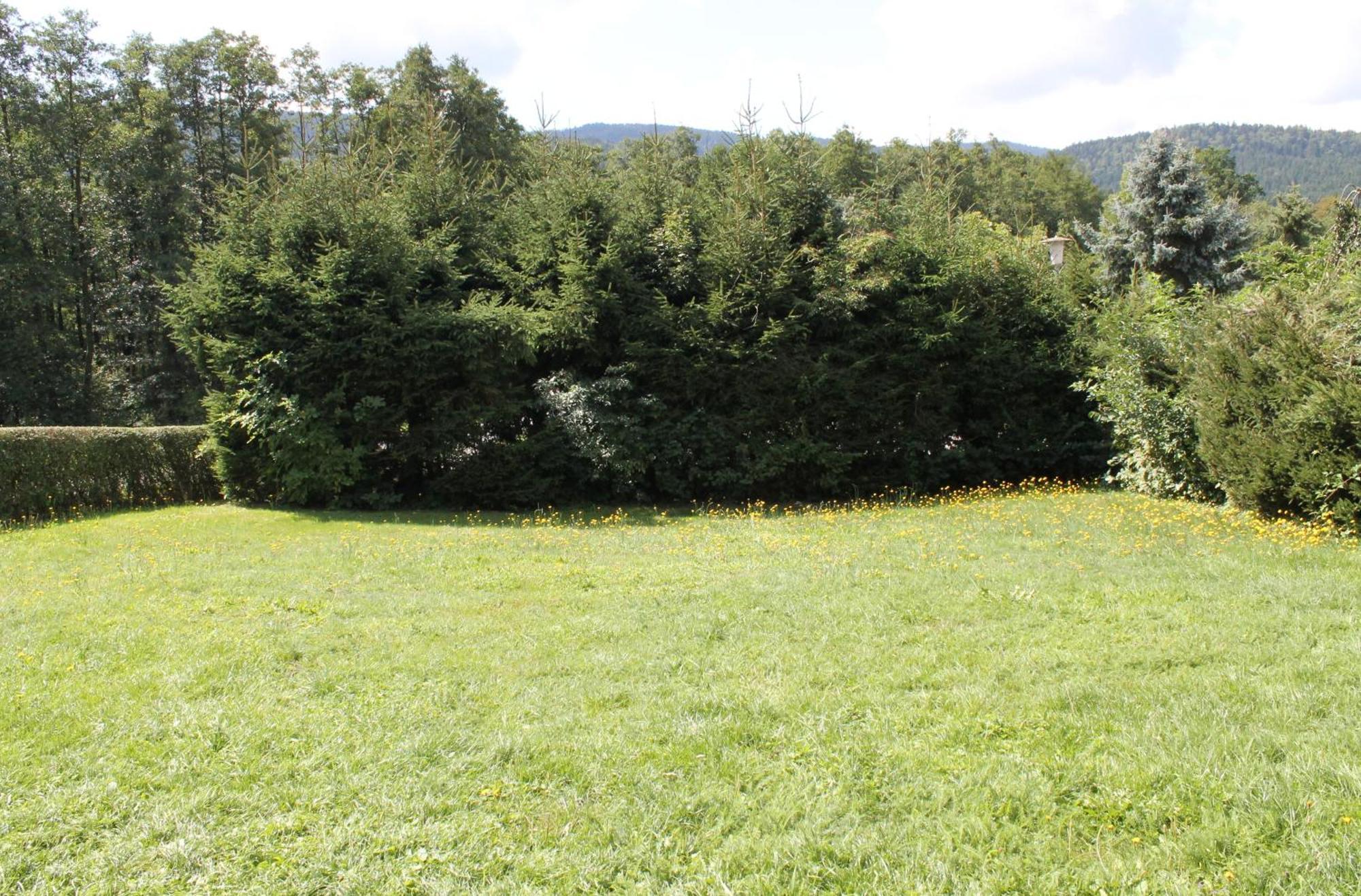 Fewo Bayerischer Wald Im Lamer Winkel Arrach Bagian luar foto